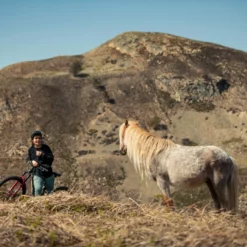 Santa Cruz Bronson 4 C MX XT Gloss Moss Et Blue 14 Santa Cruz Bronson 4 C MX XT Gloss Moss Et Blue -Cannondale Soldes 1280 6VPJsz5IKAO81Yec