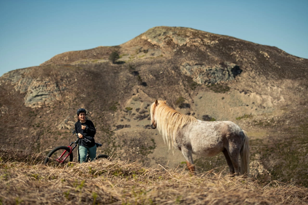 Santa Cruz Bronson 4 C MX XT Gloss Moss Et Blue 8 Santa Cruz Bronson 4 C MX XT Gloss Moss Et Blue – Image 6