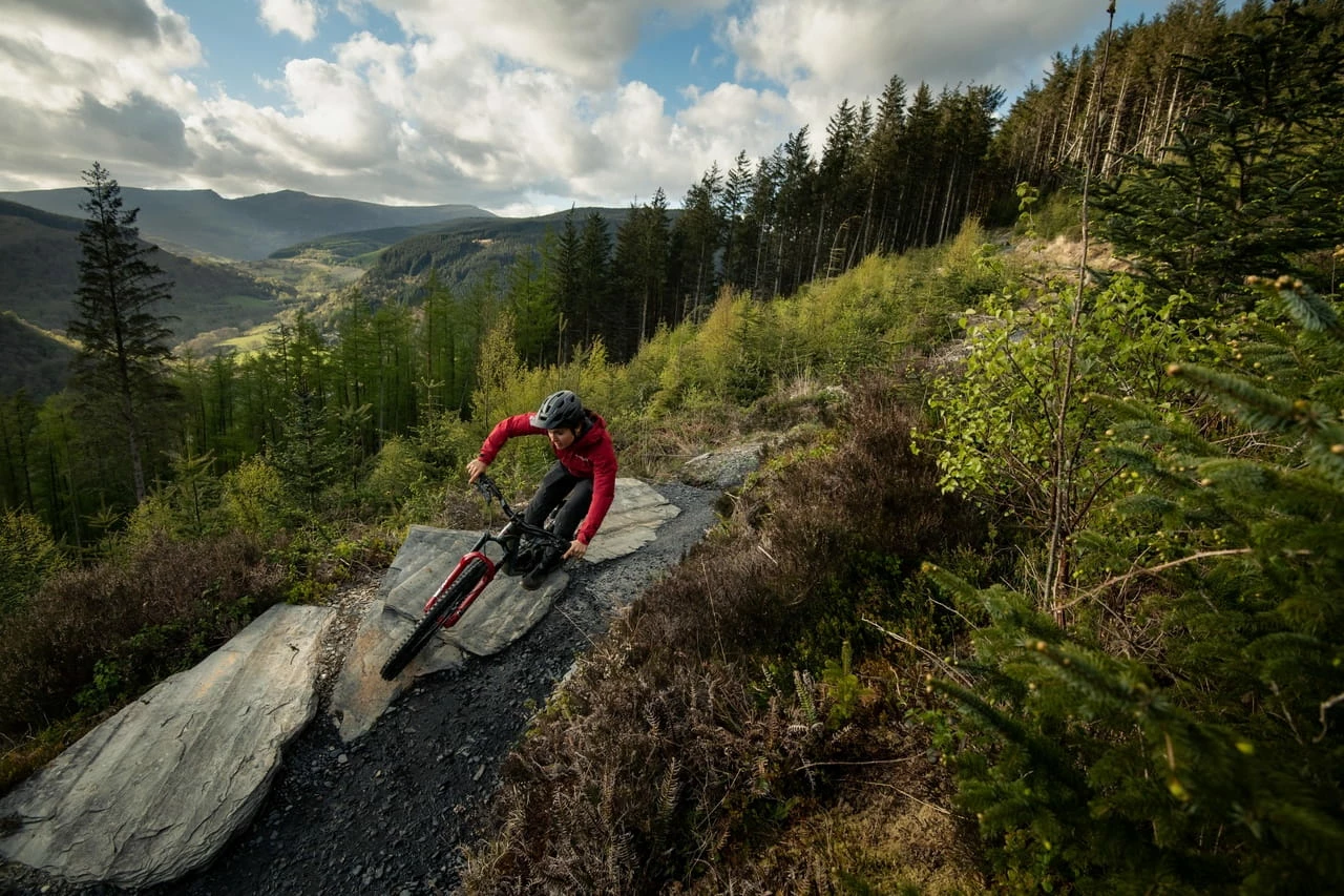 Santa Cruz Bronson 4 C MX XT Gloss Moss Et Blue 5 Santa Cruz Bronson 4 C MX XT Gloss Moss Et Blue – Image 3