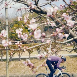 Cannondale SuperSix EVO Carbon Disc 105 Black Pearl 10 Cannondale SuperSix EVO Carbon Disc 105 Black Pearl -Cannondale Soldes SuperSix EVO In The Wild 2