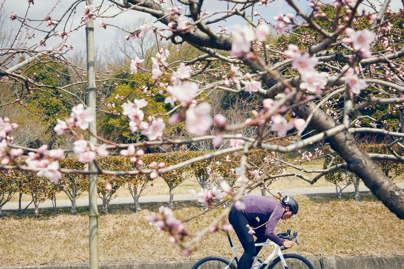 Cannondale SuperSix EVO Carbon Disc 105 Black Pearl 6 Cannondale SuperSix EVO Carbon Disc 105 Black Pearl – Image 4